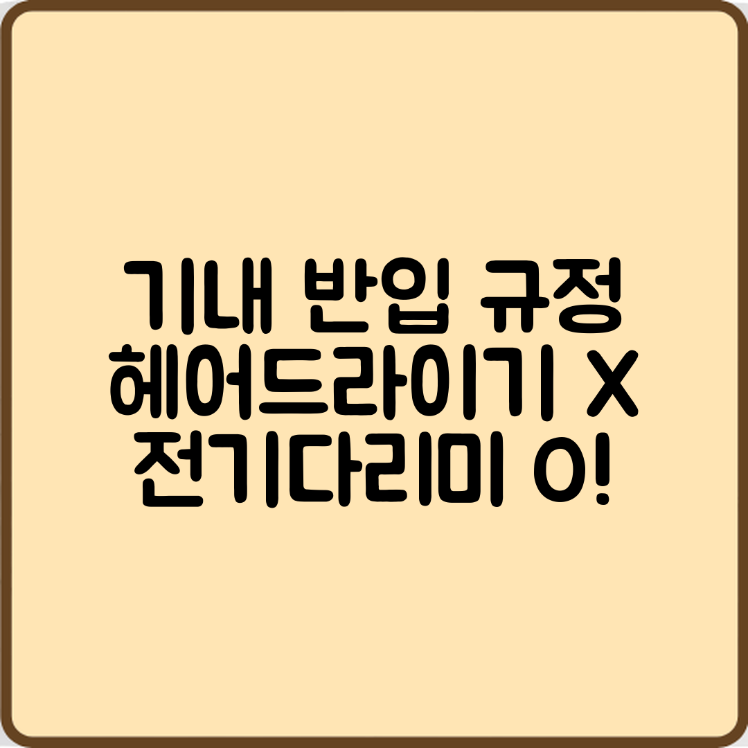 누구나 쉽게 아는 기내 반입 규정: 헤어드라이기와 전기 다리미