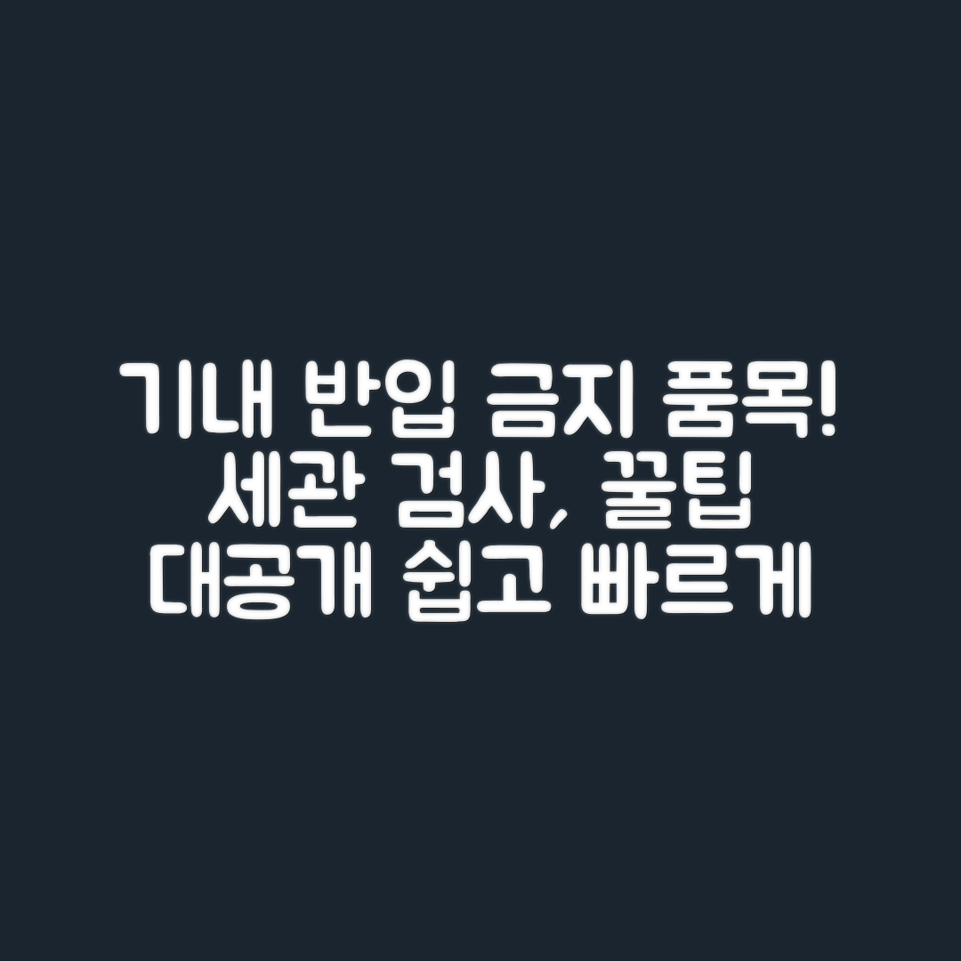 기내 반입 금지 품목과 세관 검사, 누구나 쉽게 알아보자!