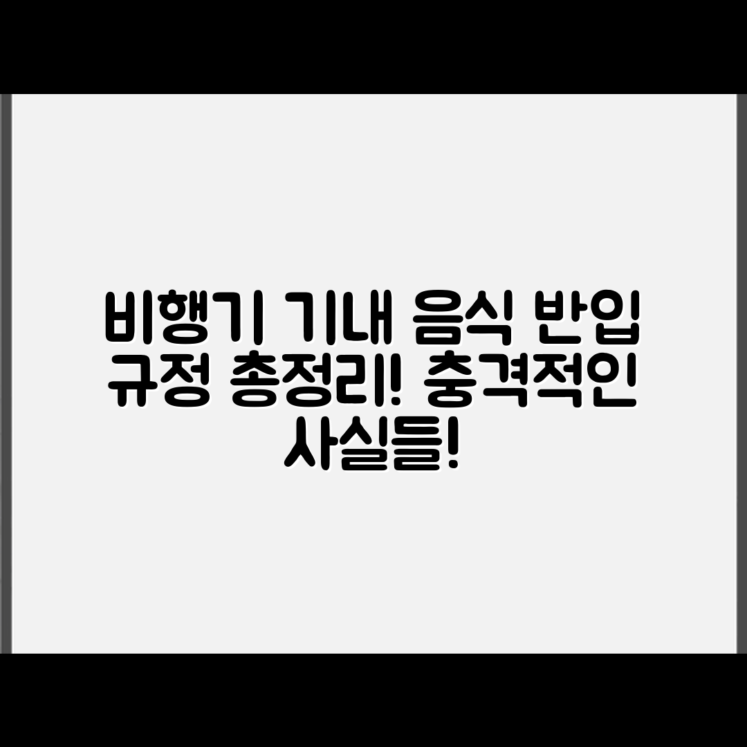 충격적인 비행기 기내 반입 음식 규정 총정리!