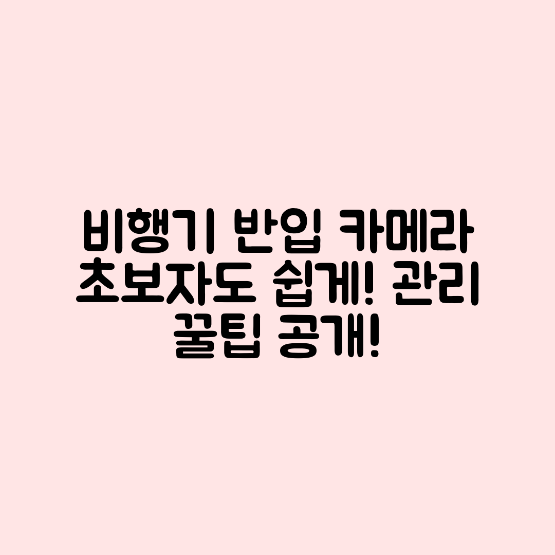 초보자도 쉽게 아는 비행기 반입 카메라 관리