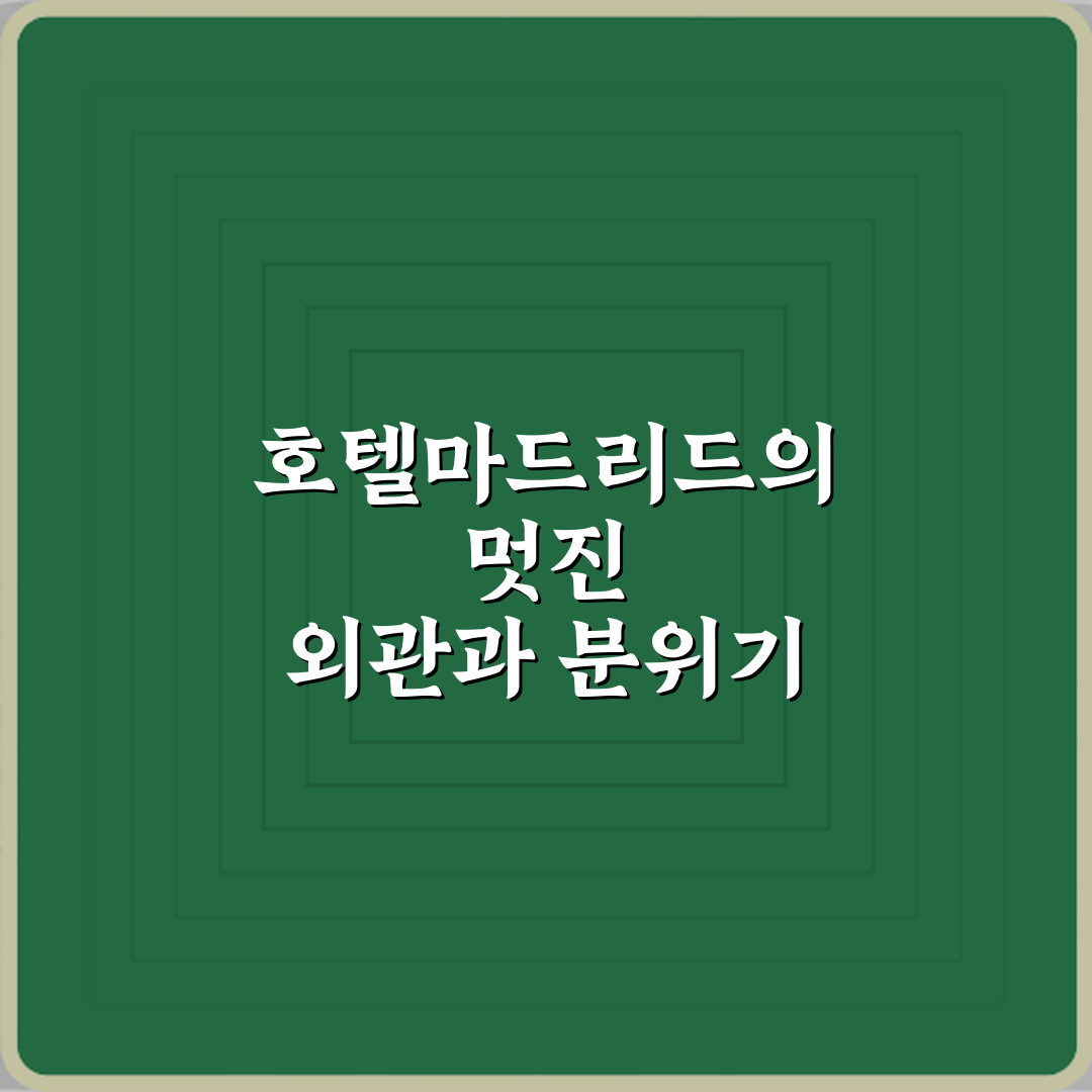호텔마드리드 방문기 | 노원구 술집 전문 리뷰